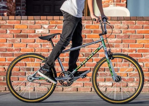 best bmx bikes for big guys