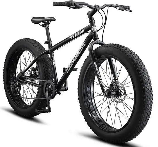 Is a fat bike good for beach riding